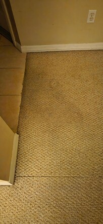 dirty and torn carpet between the kitchen and dining room