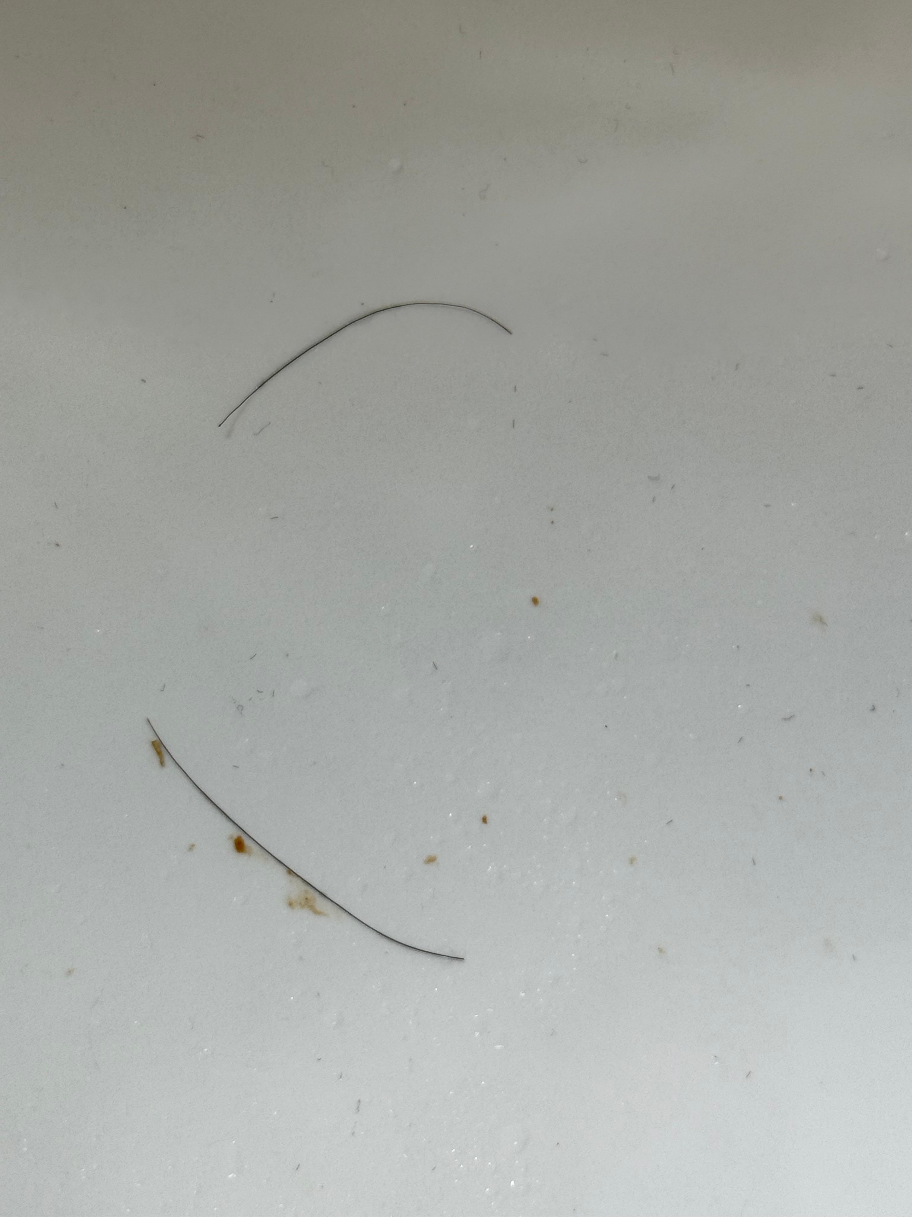 Hair and dirty in the bathroom sink