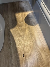 Bug