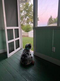 Screen in porch… great for coffee in mornings