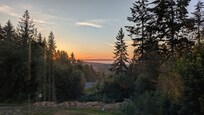 Pic from the kitchen window