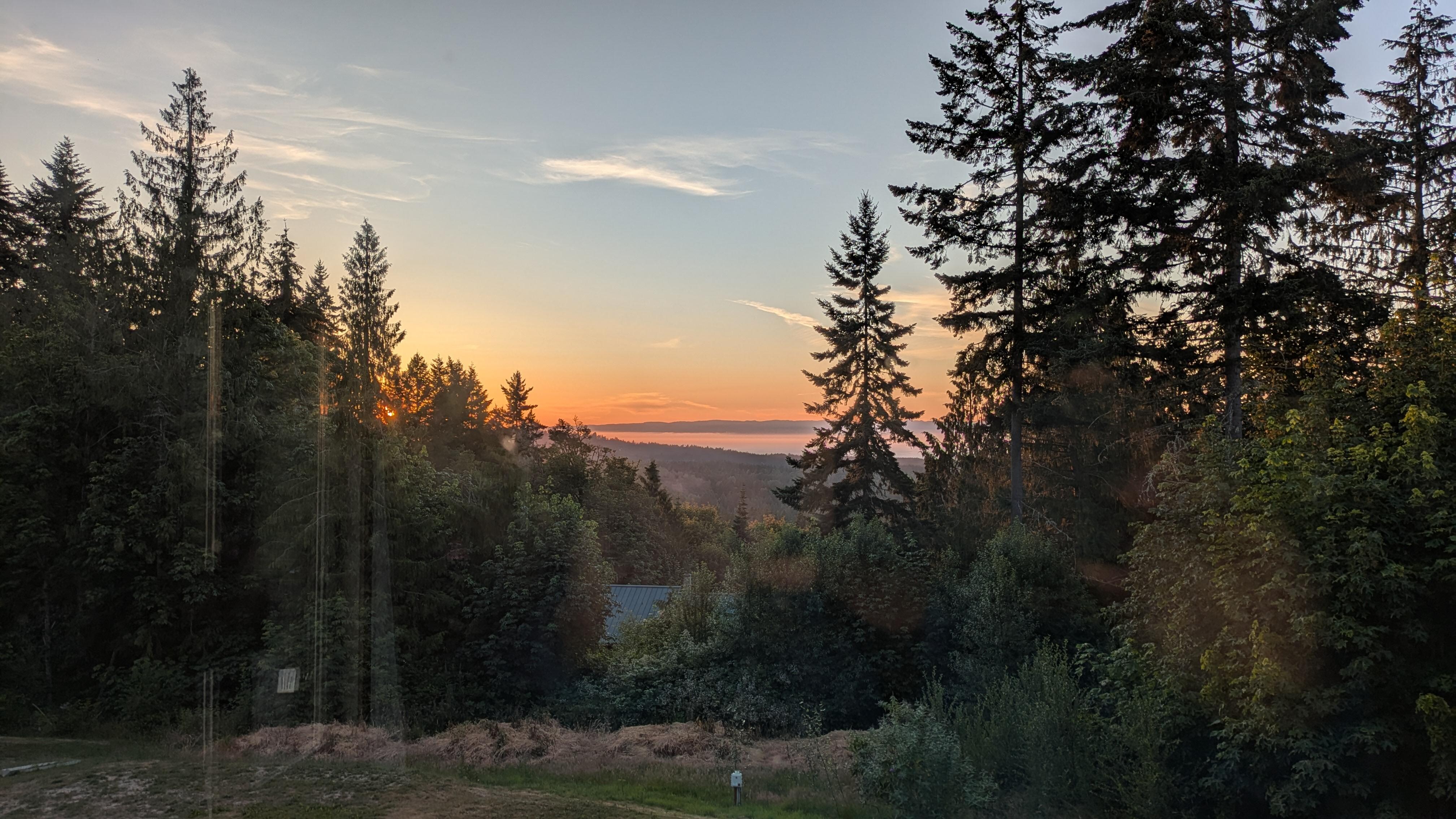 Pic from the kitchen window