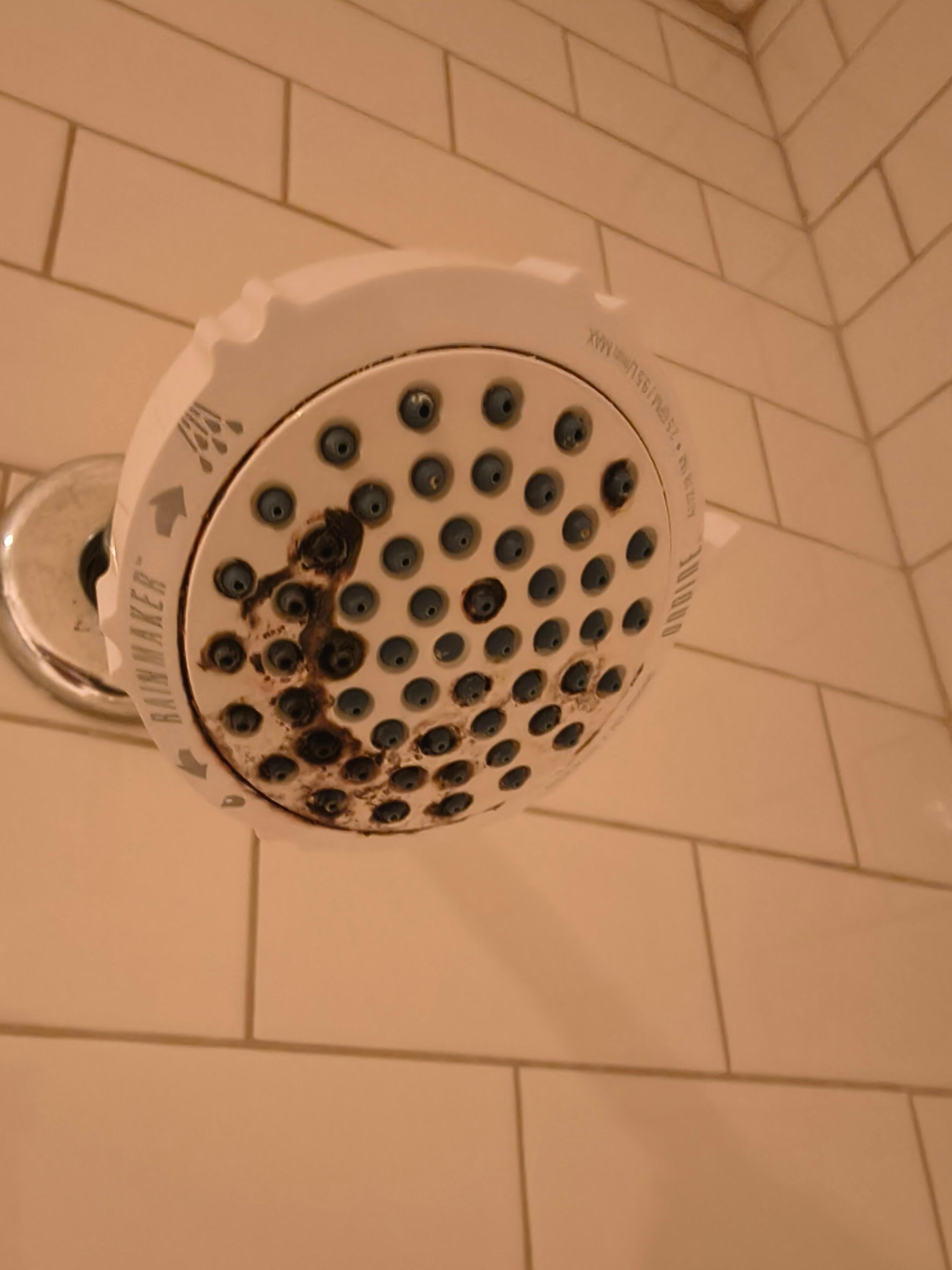 Shower head. We washed up in the sink.