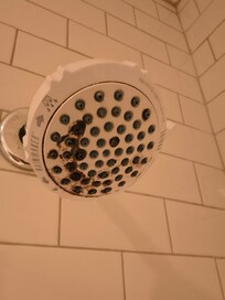 Shower head. We washed up in the sink.