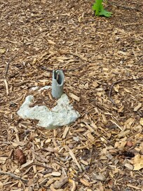 This was the tripping hazard.