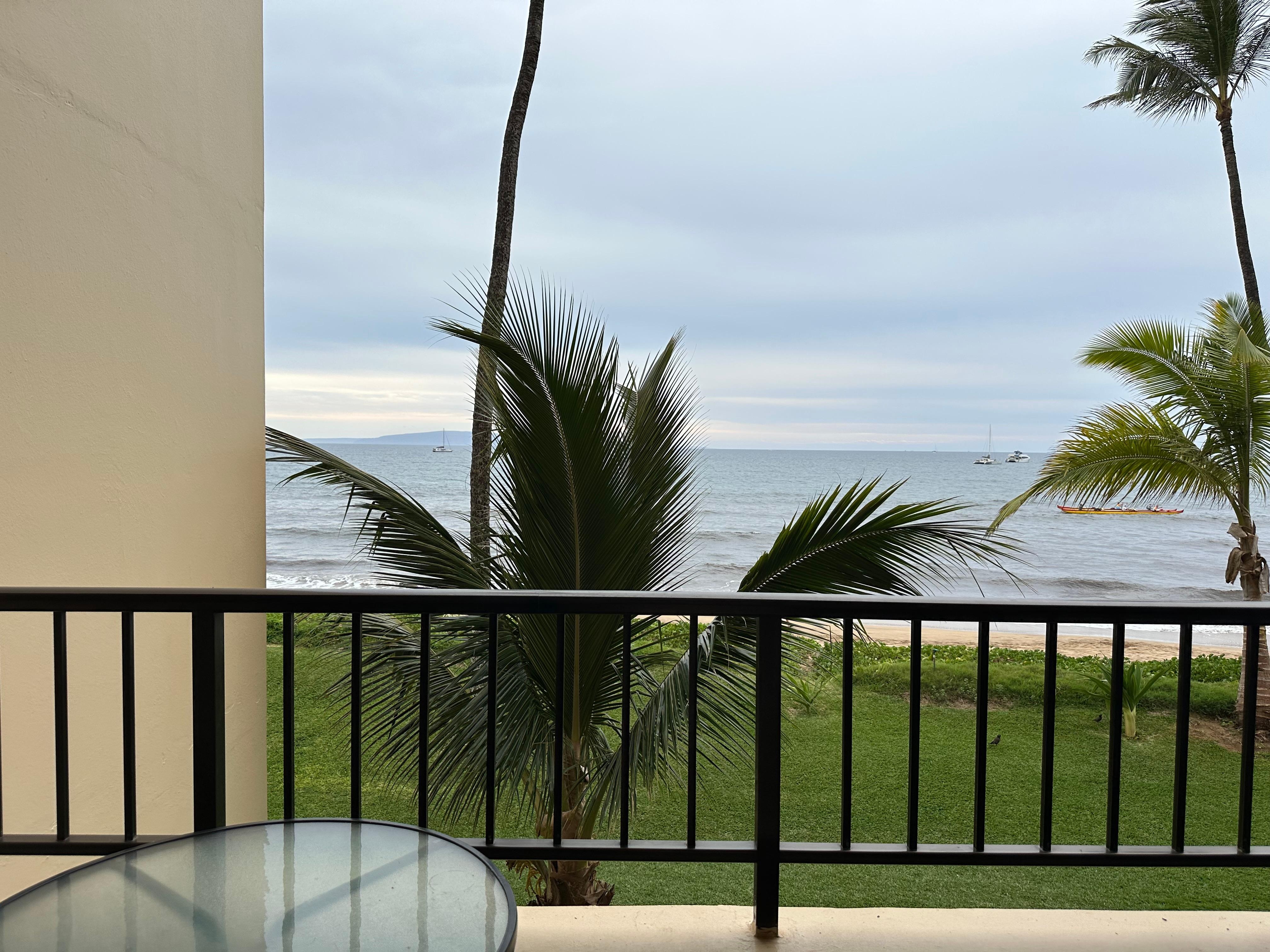 Actual view from the lanai