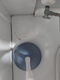 Poop behind toilet