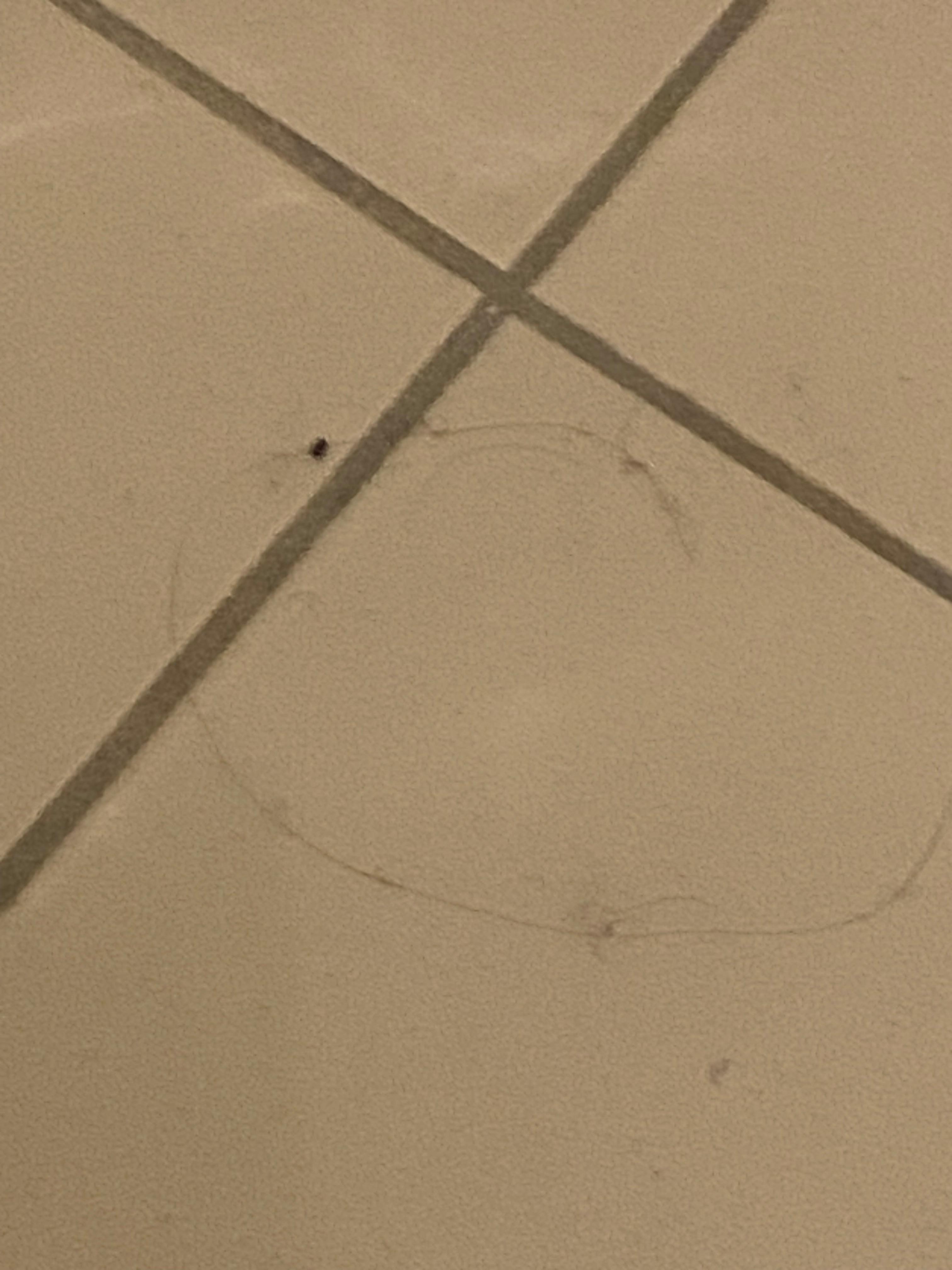 Sollte nachgeputzt werden, ist aber nicht erfolgt 