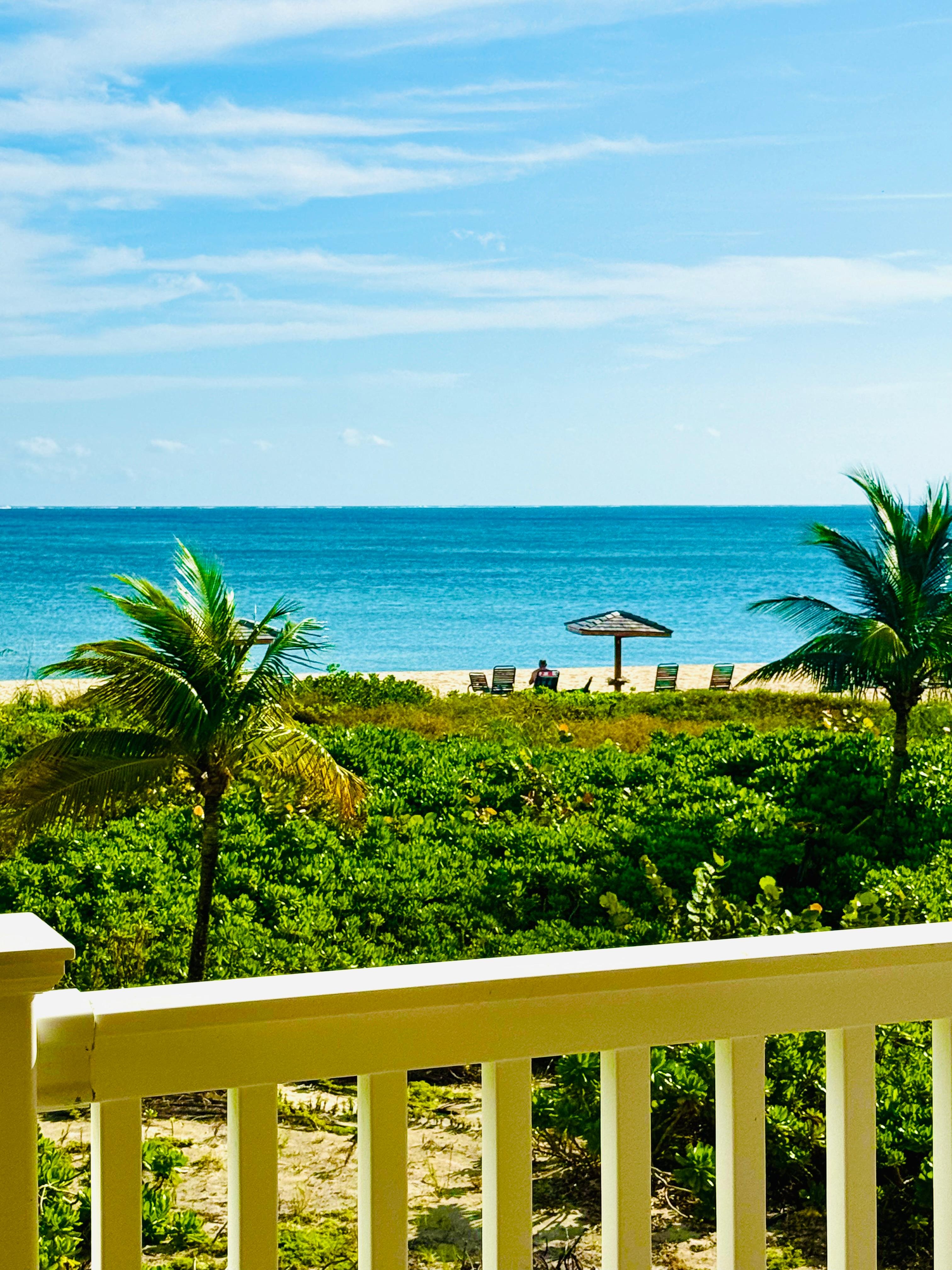 View from covered deck!