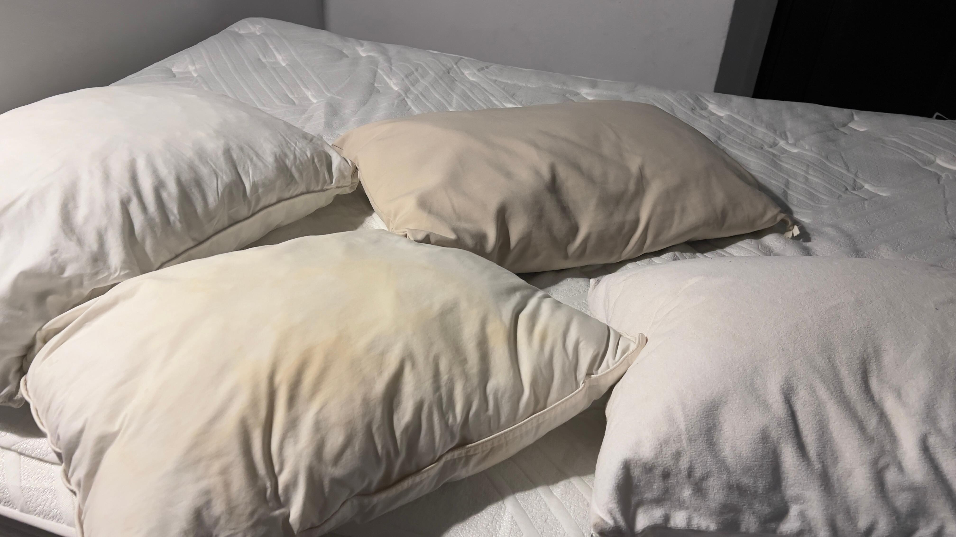 This is the pillow I had to laundry the pillow case.