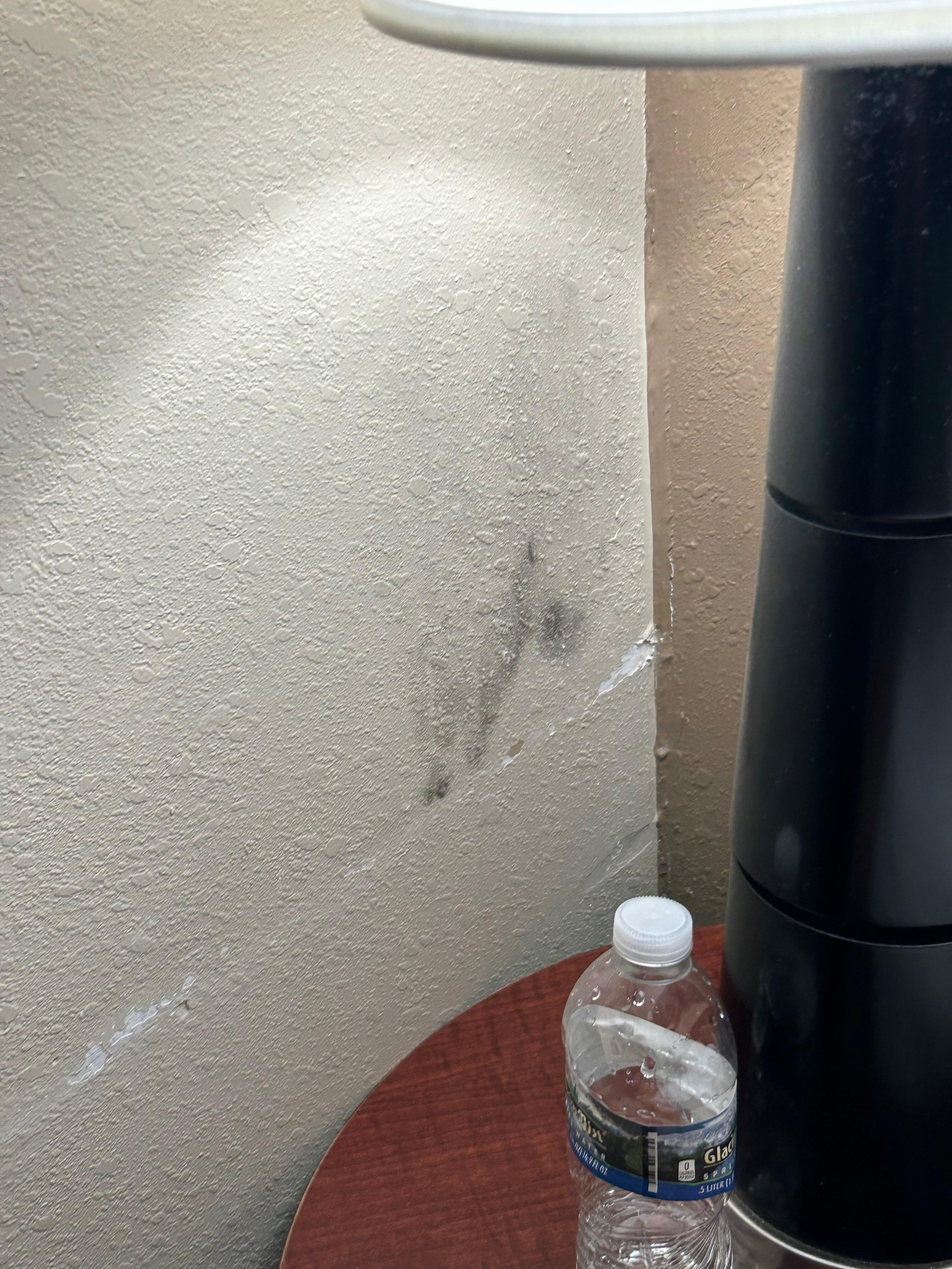 Mold on wall by bedroom 
