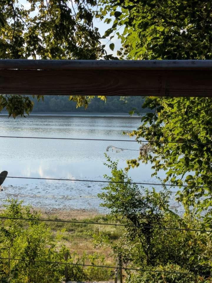 Peaceful views of the water and wildlife. 