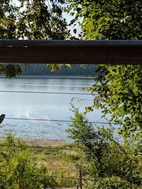 Peaceful views of the water and wildlife.