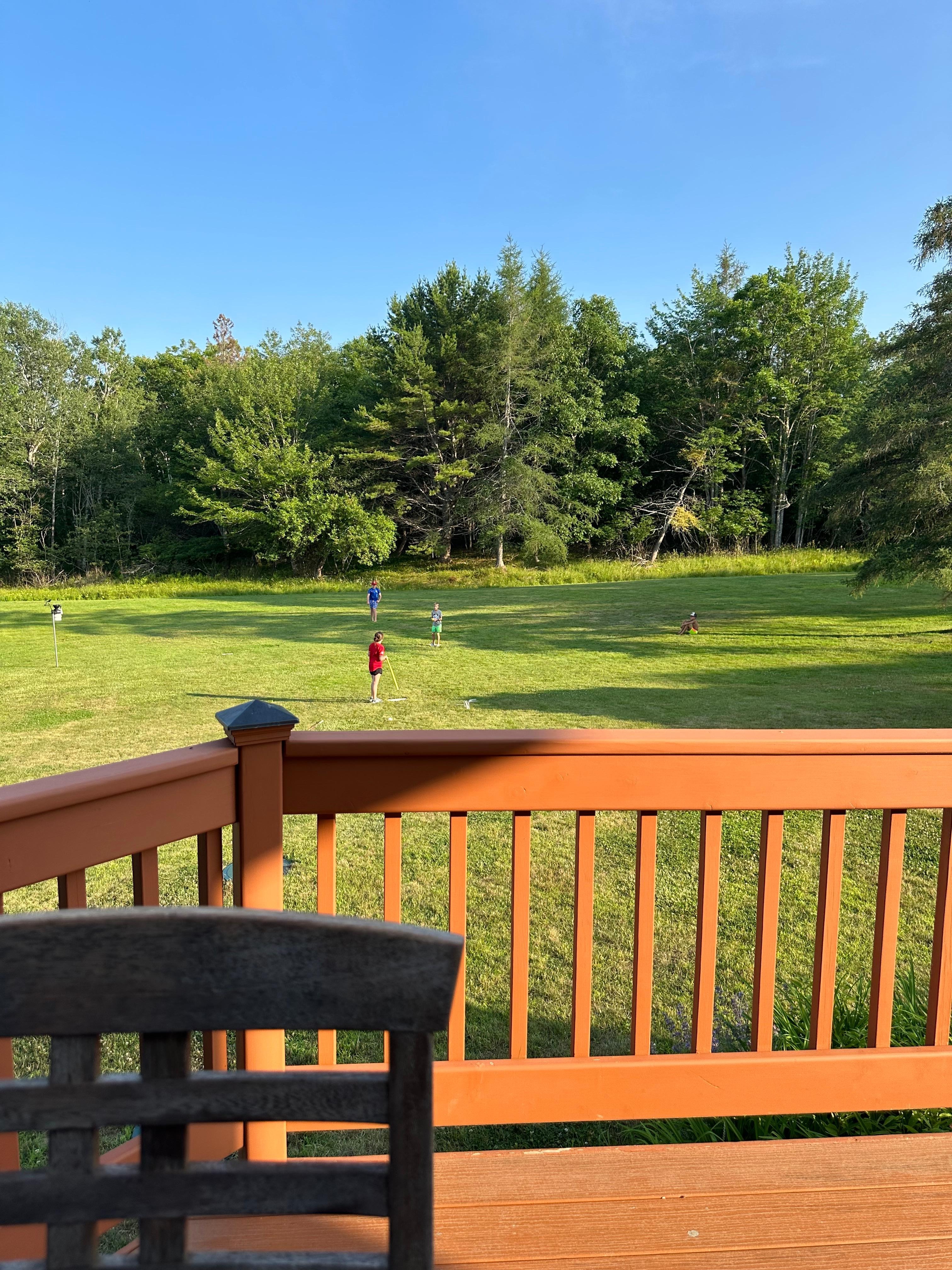 Our wiffle ball field 