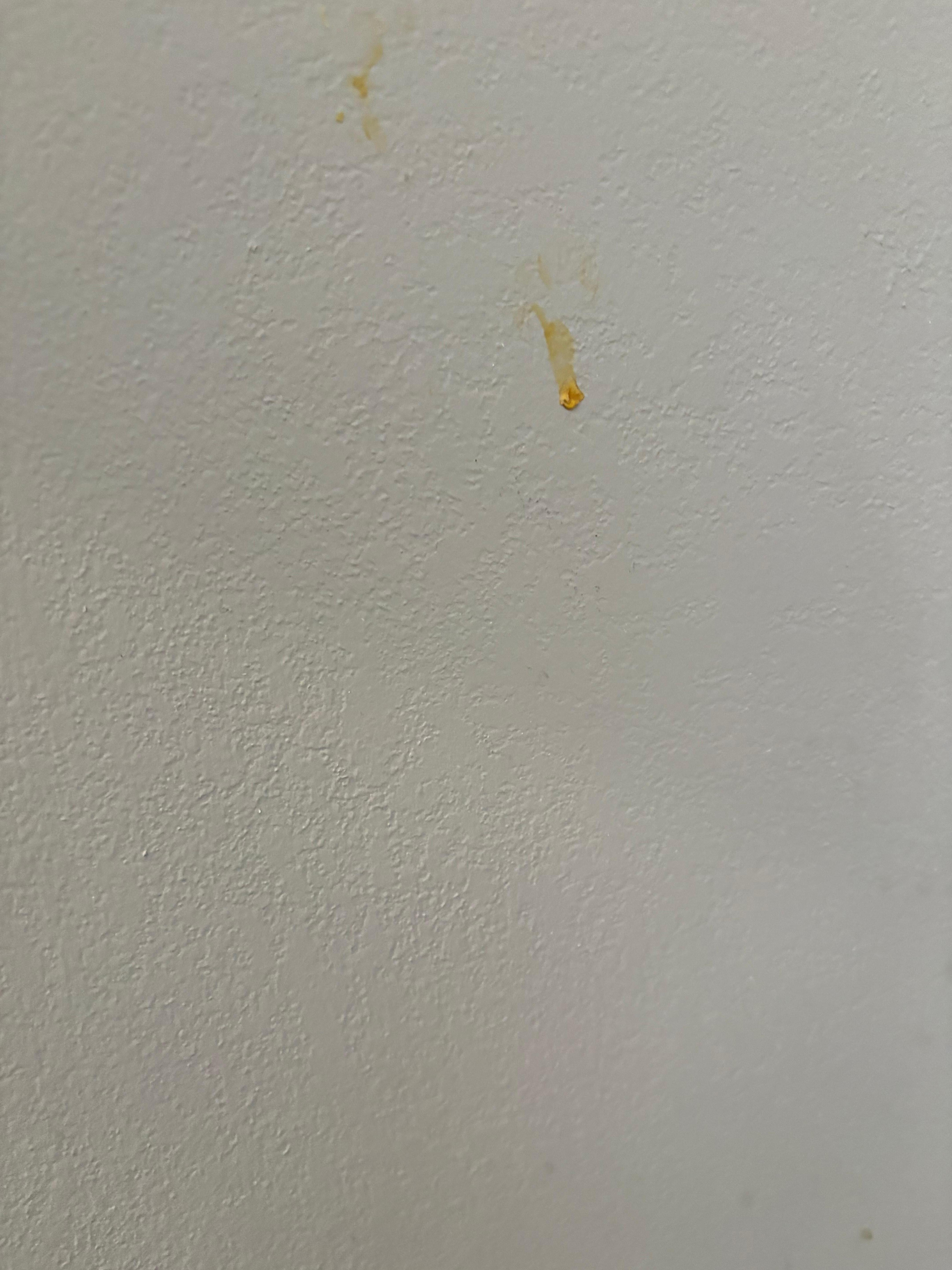 Food on the wall