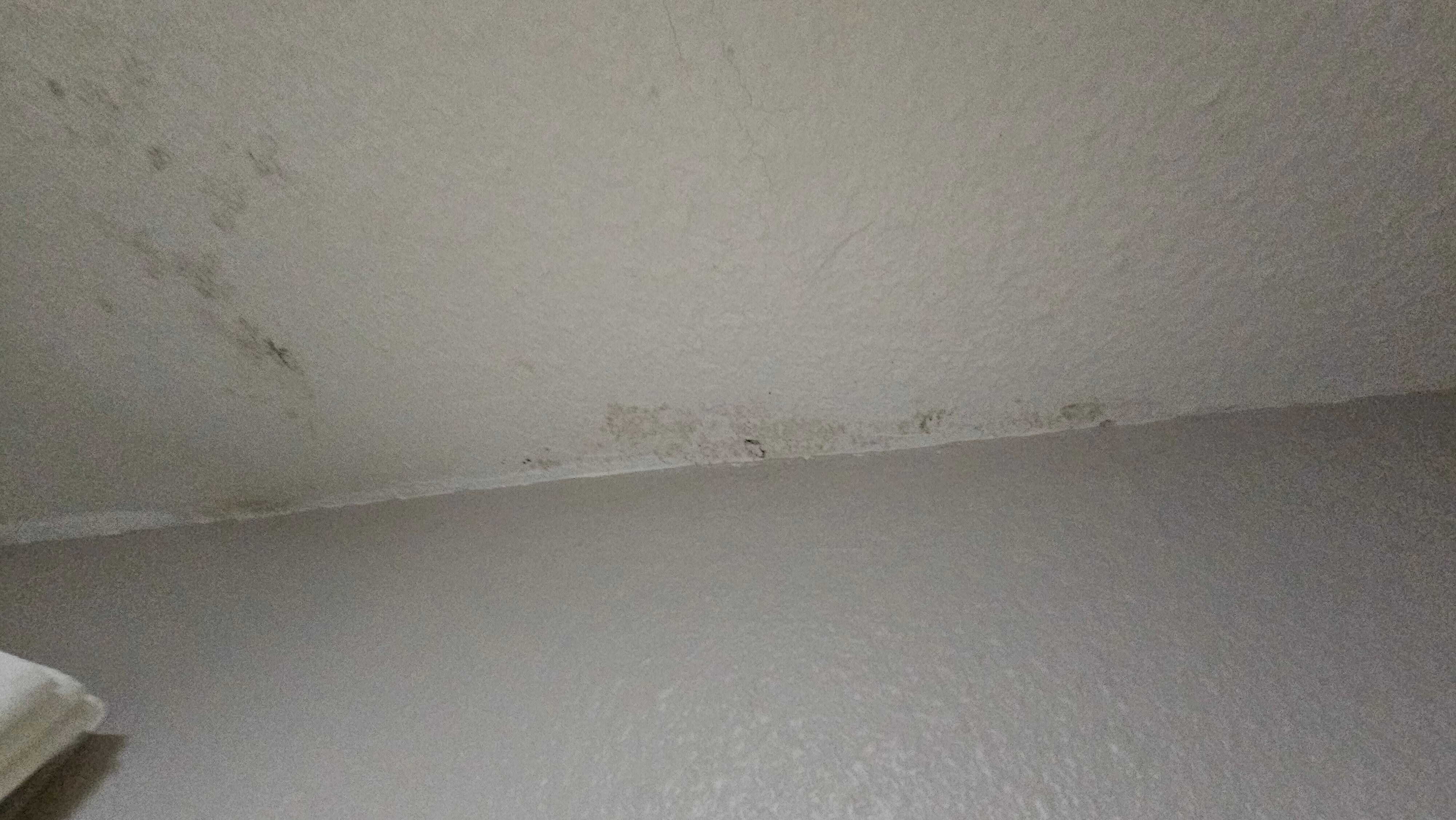 Ceiling in bathroom had mold/mildew. Rest of the room was clean enough. 