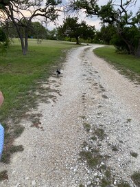 Large lot, great for walks