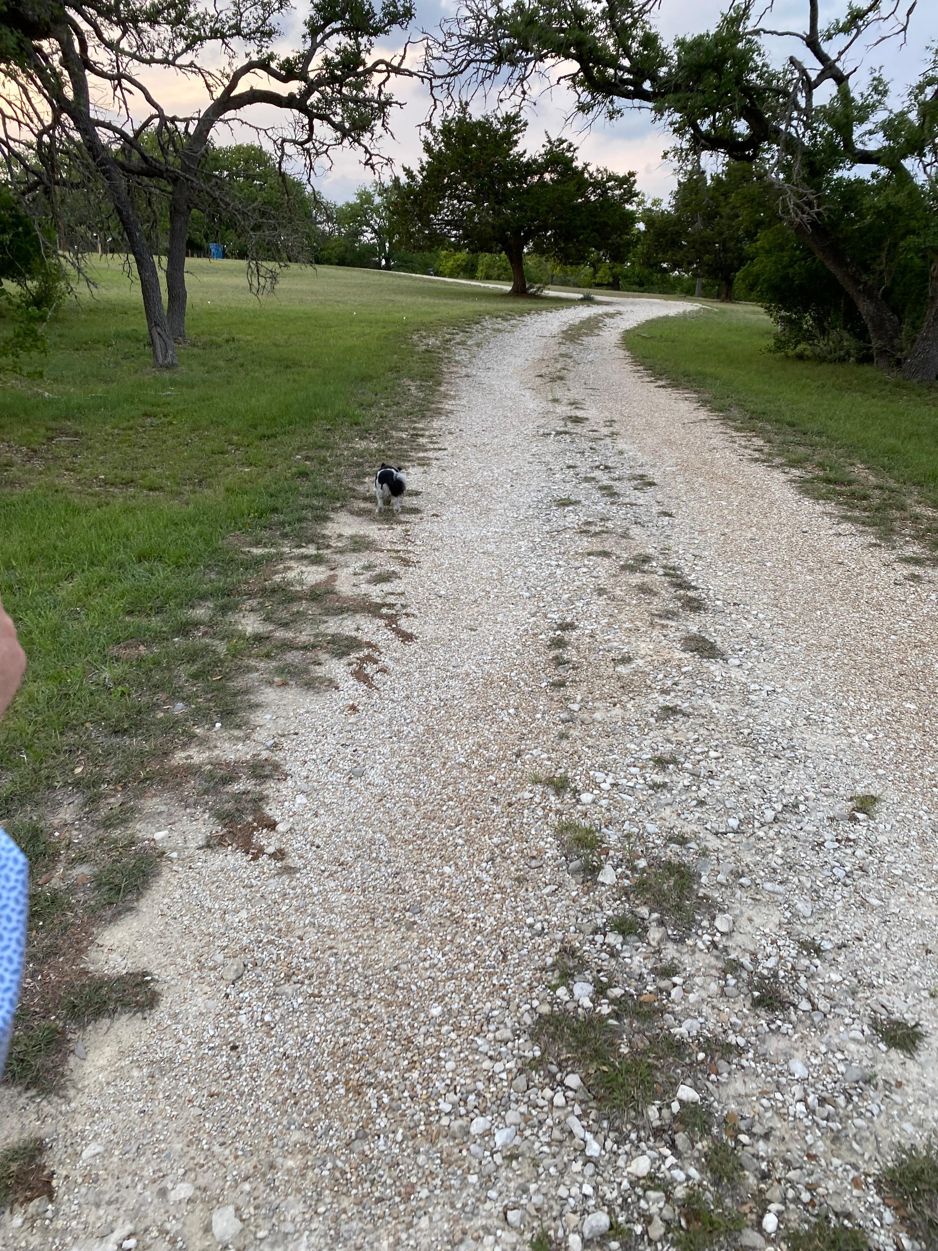 Large lot, great for walks