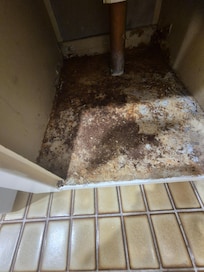 Under laundry sink, mold and rust