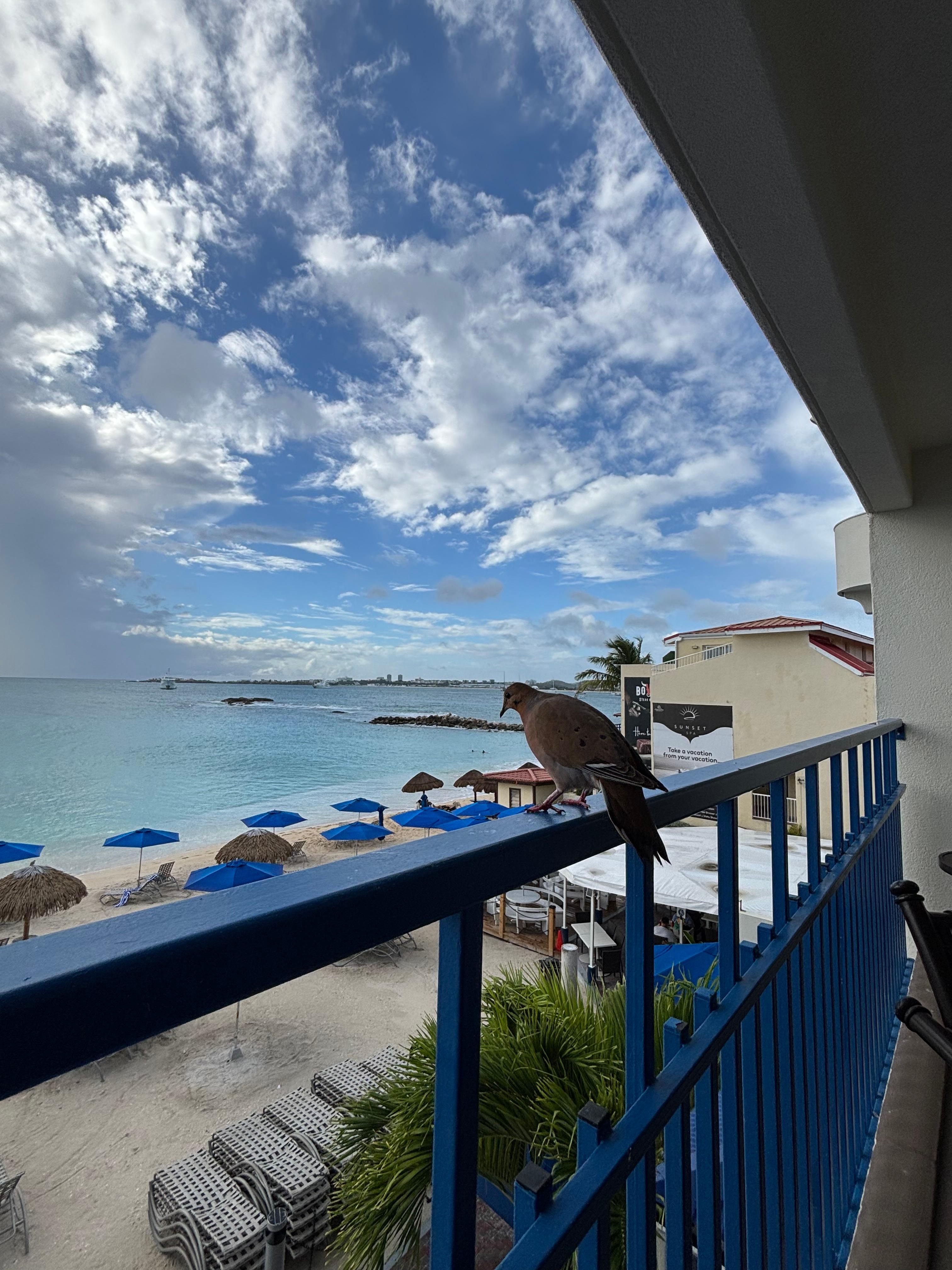 View from our balcony 