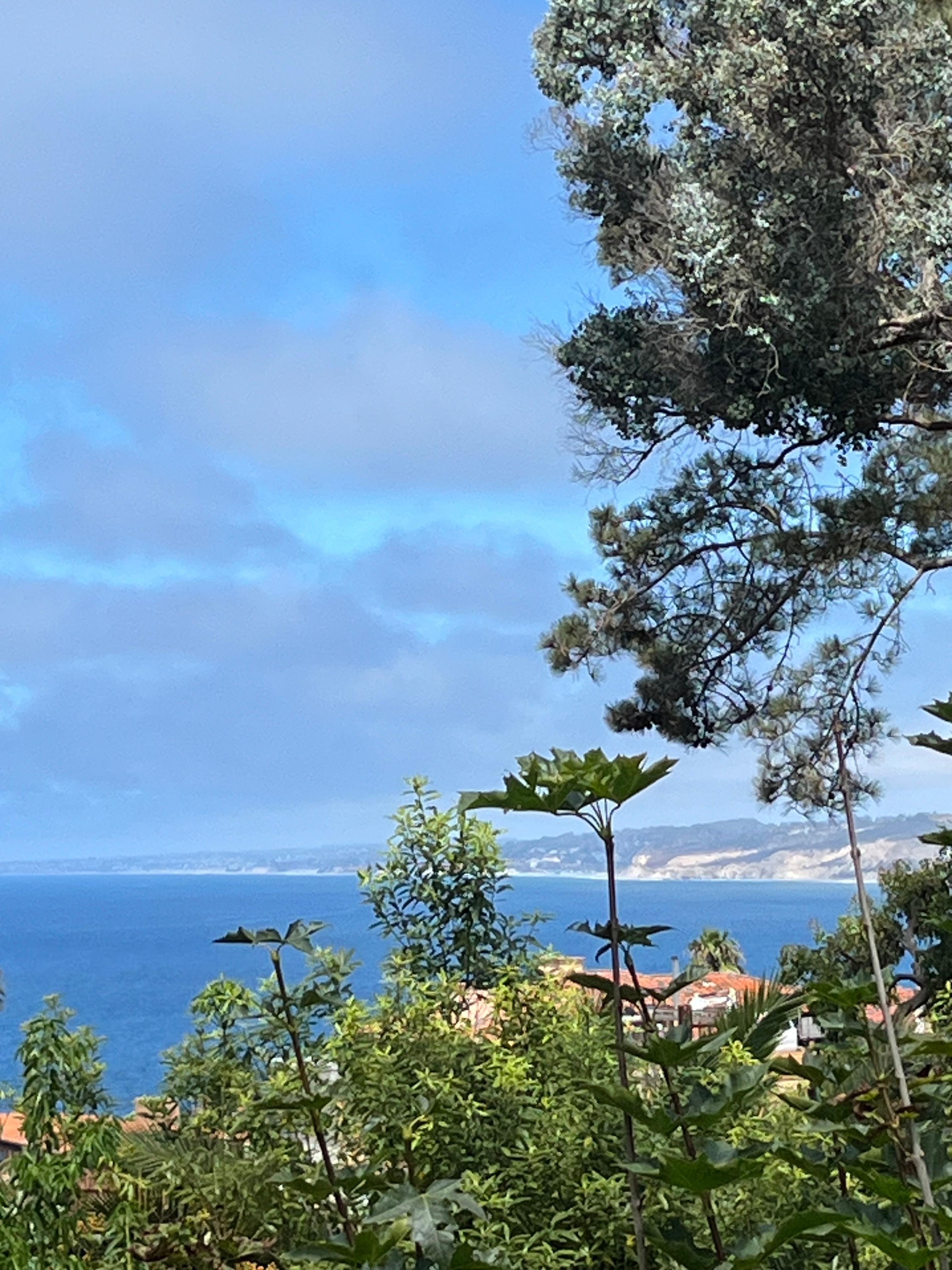 View from outside deck area