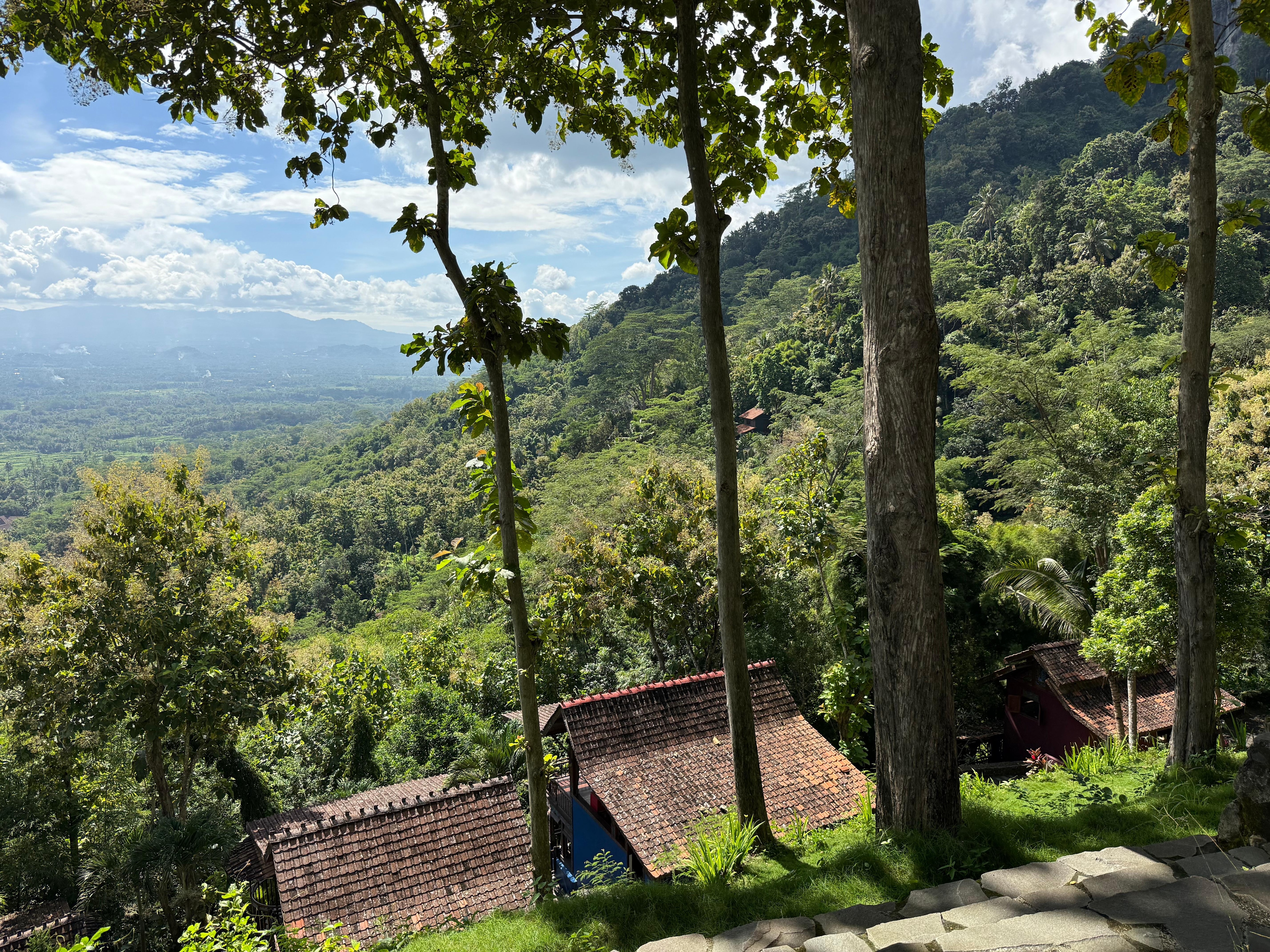 Nature views