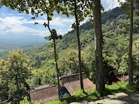 Nature views