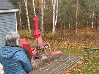 Si près de la nature 💫! (Vous voyez le chevreuil 🦌 au centre?)