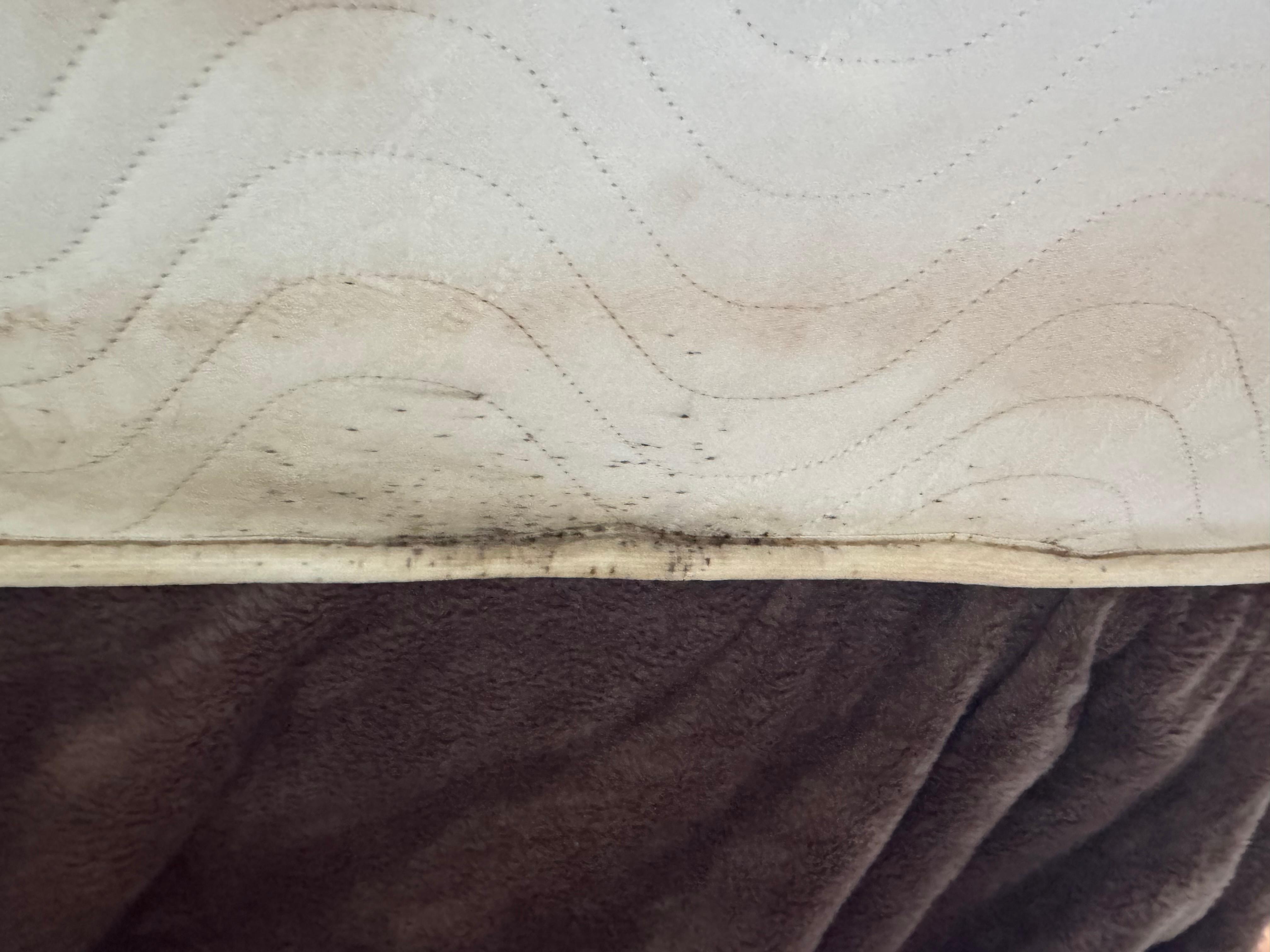 Where they all have been  and never was properly cleaned 