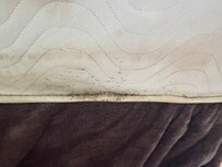 Where they all have been and never was properly cleaned