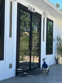 A visitor at our door every day.