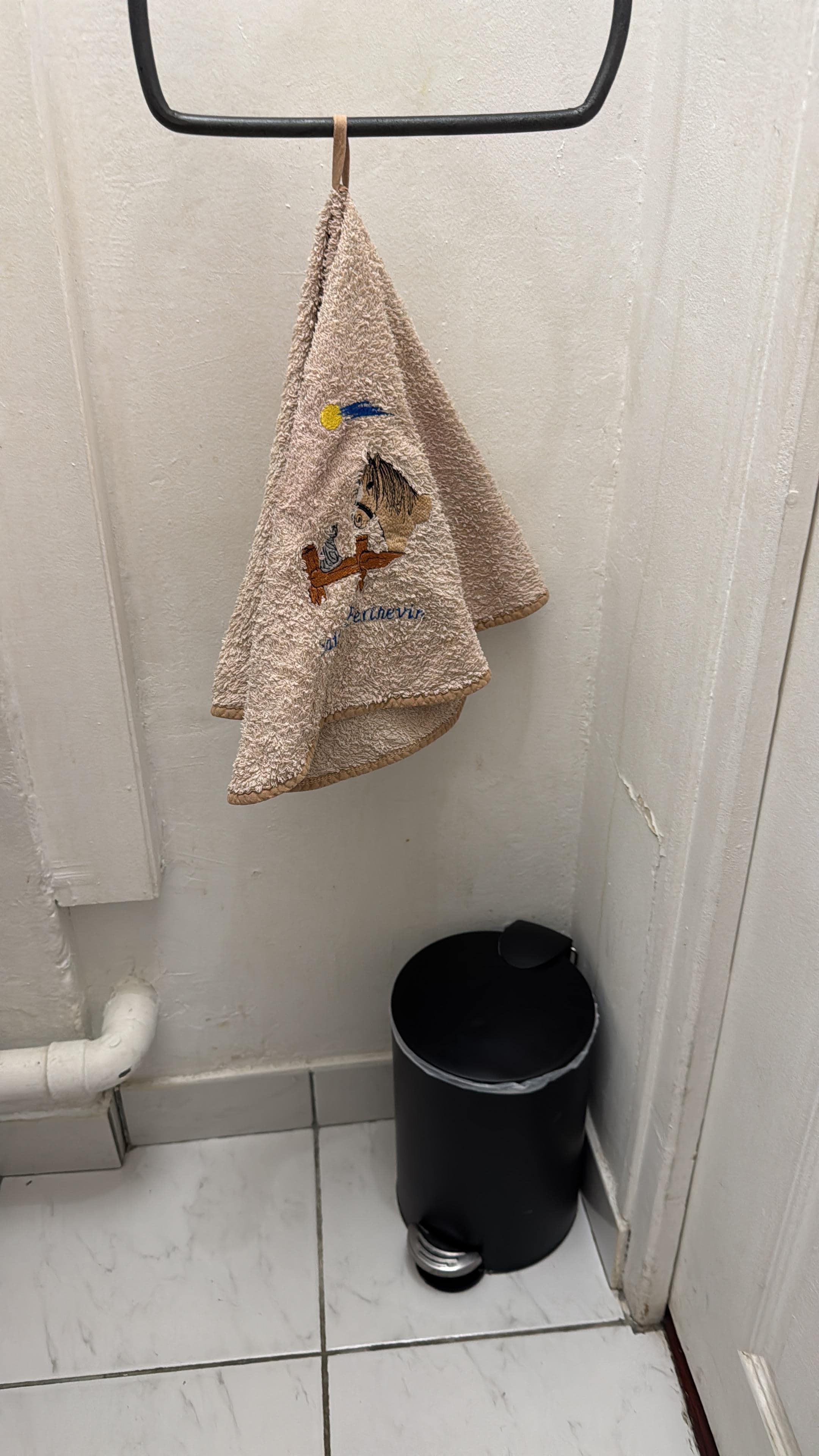 This “towel” hanging in the toilet room smelled and looked like it had been fished out of the bottom of a Parisian garbage can 