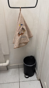 This “towel” hanging in the toilet room smelled and looked like it had been fished out of the bottom of a Parisian garbage can