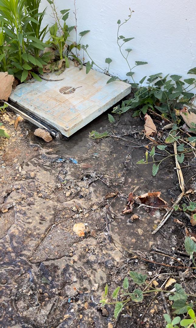 Sink drains into the front yard, because it's clogged? imagine laundry/dishwasher  waste here. wow.