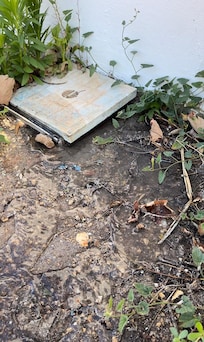 Sink drains into the front yard, because it's clogged? imagine laundry/dishwasher waste here. wow.