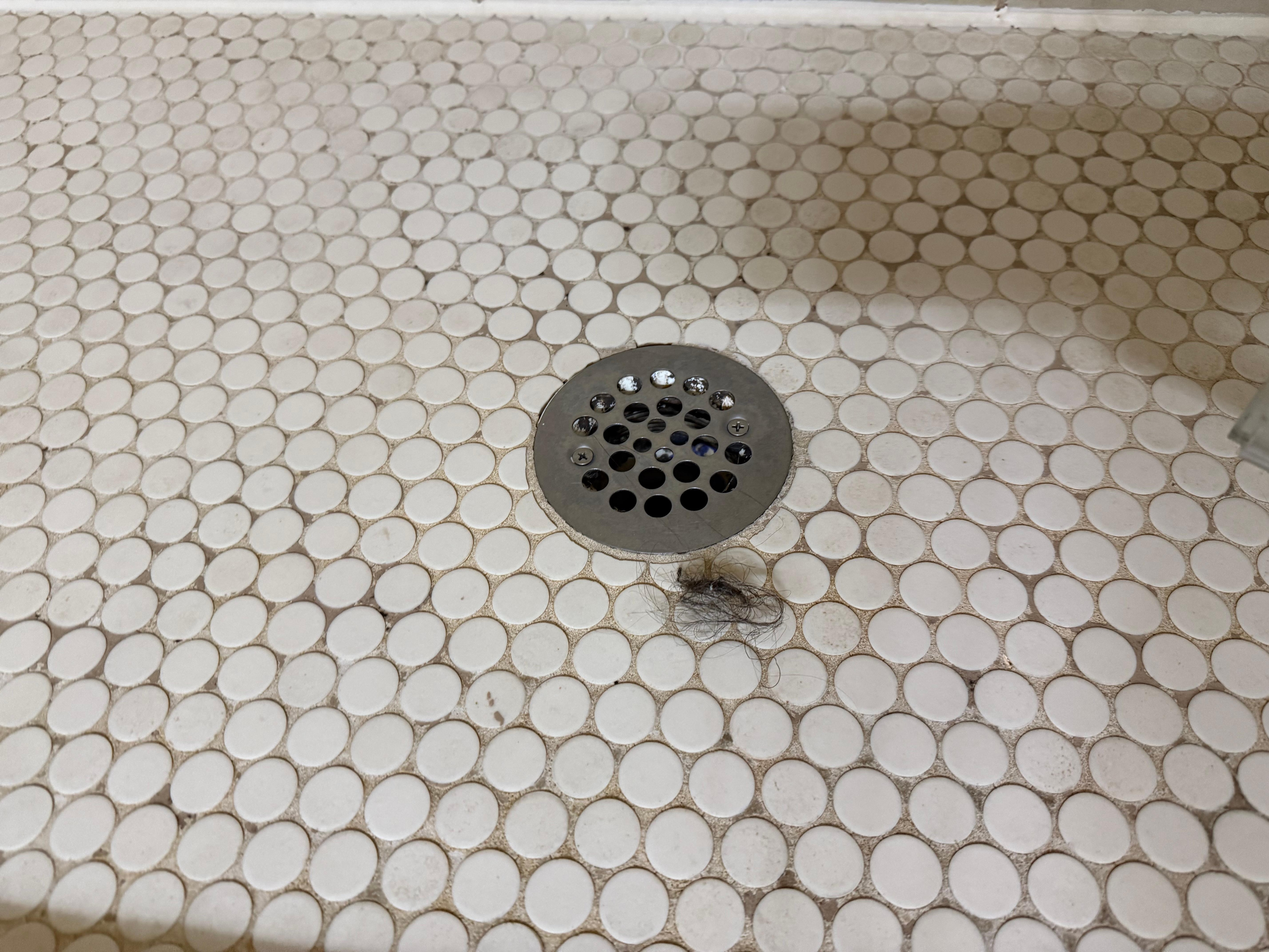 Hairball on shower floor upon check in I reported it they tried to get me another room that was clean but hotel was full so I cleaned it myself