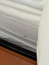 Something on sheets! I will give staff a 5 star, they immediately changed sheets.