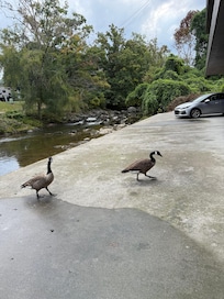 No barrier to the river on parking underground