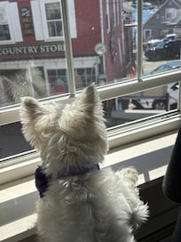 People watching over downtown BBH