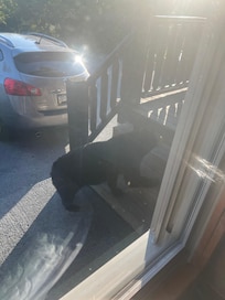 Walking into the porch