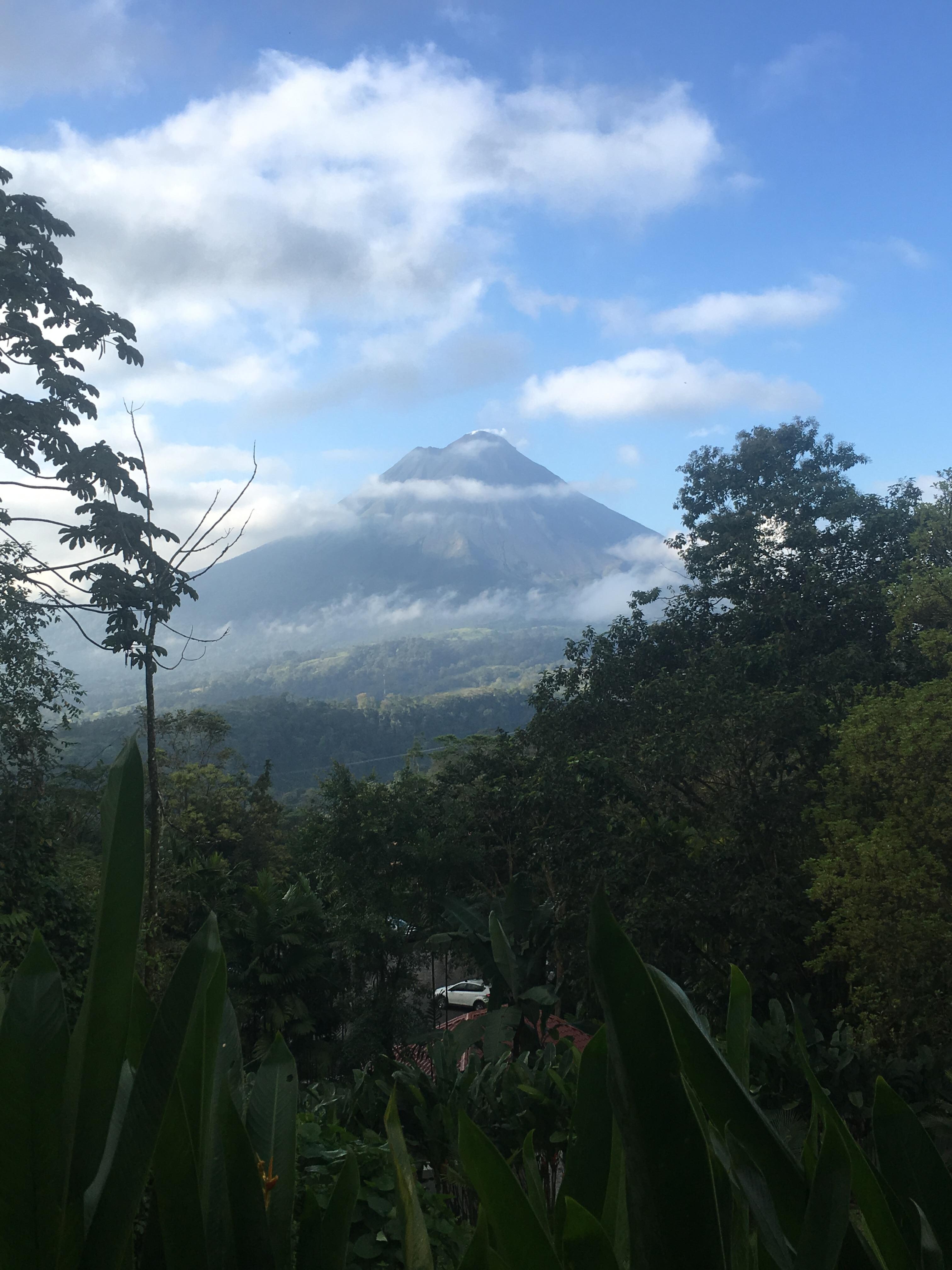 View from the walkway