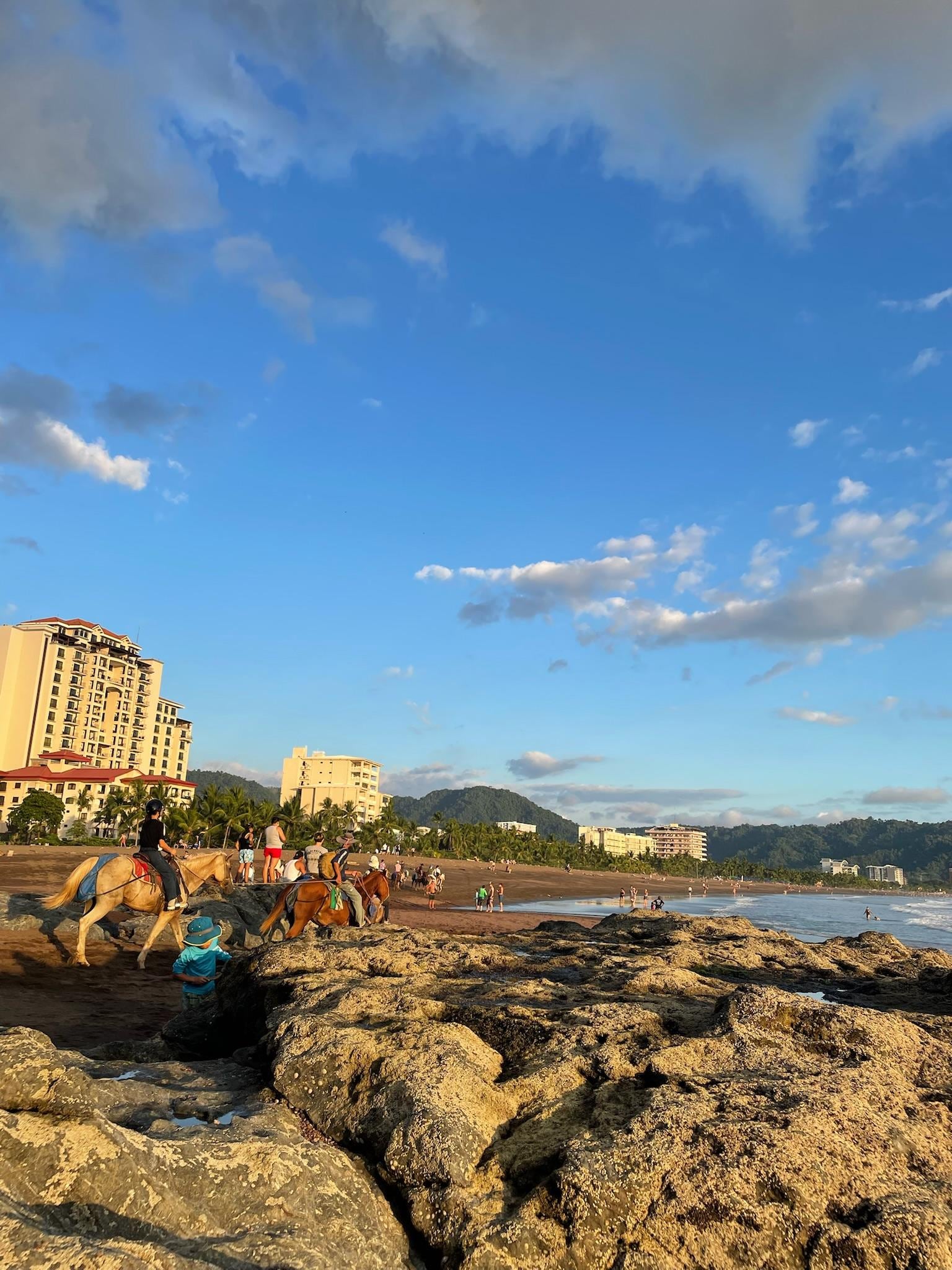 Beach area by the units