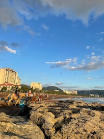 Beach area by the units