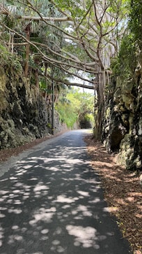 The Railway Trail
