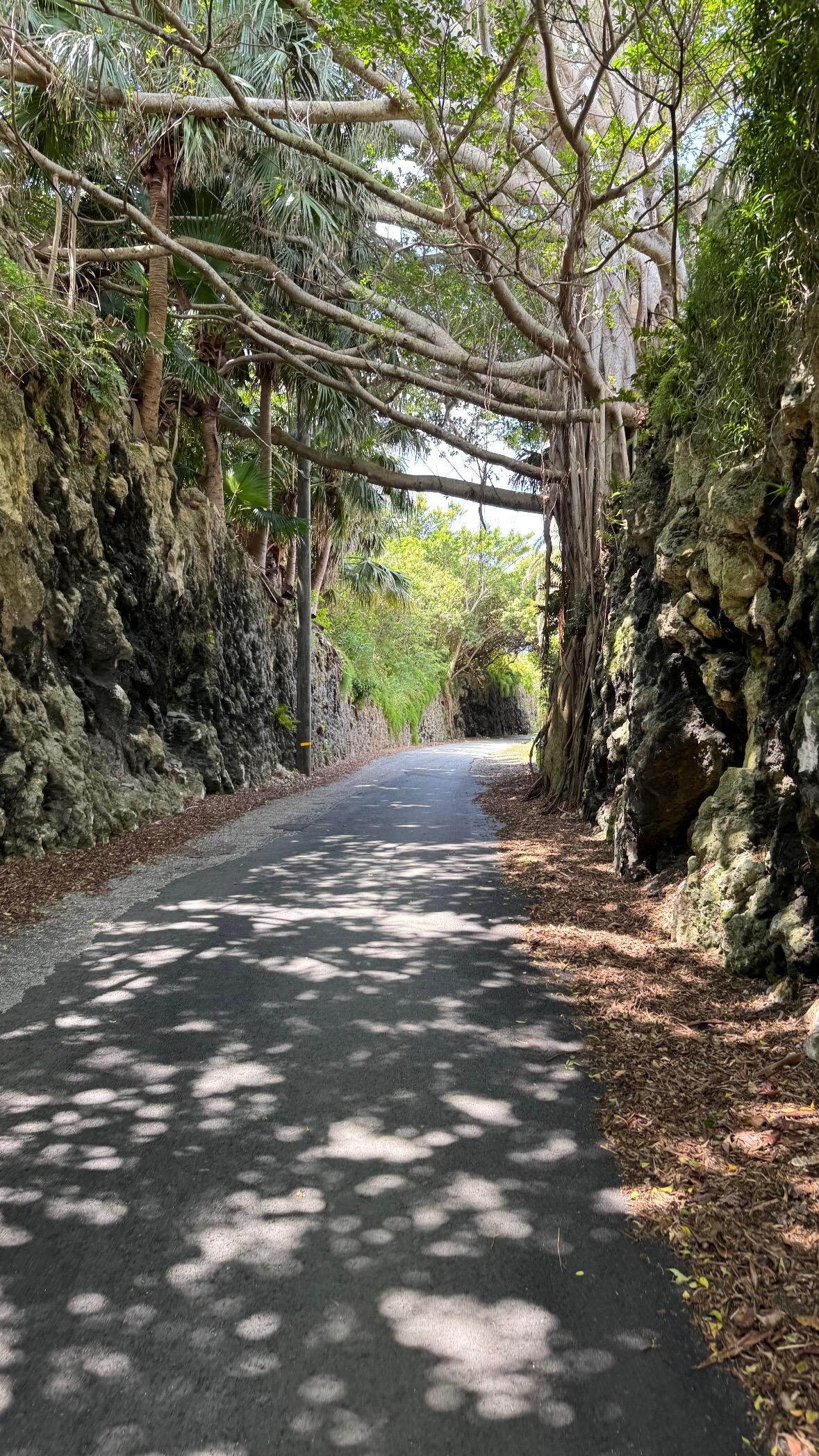 The Railway Trail