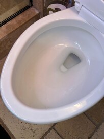 Hair in toilet when we arrived