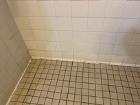 Grout needs to be cleaned. Maybe a complete remodel of shower would be great. Shower head lacked any power