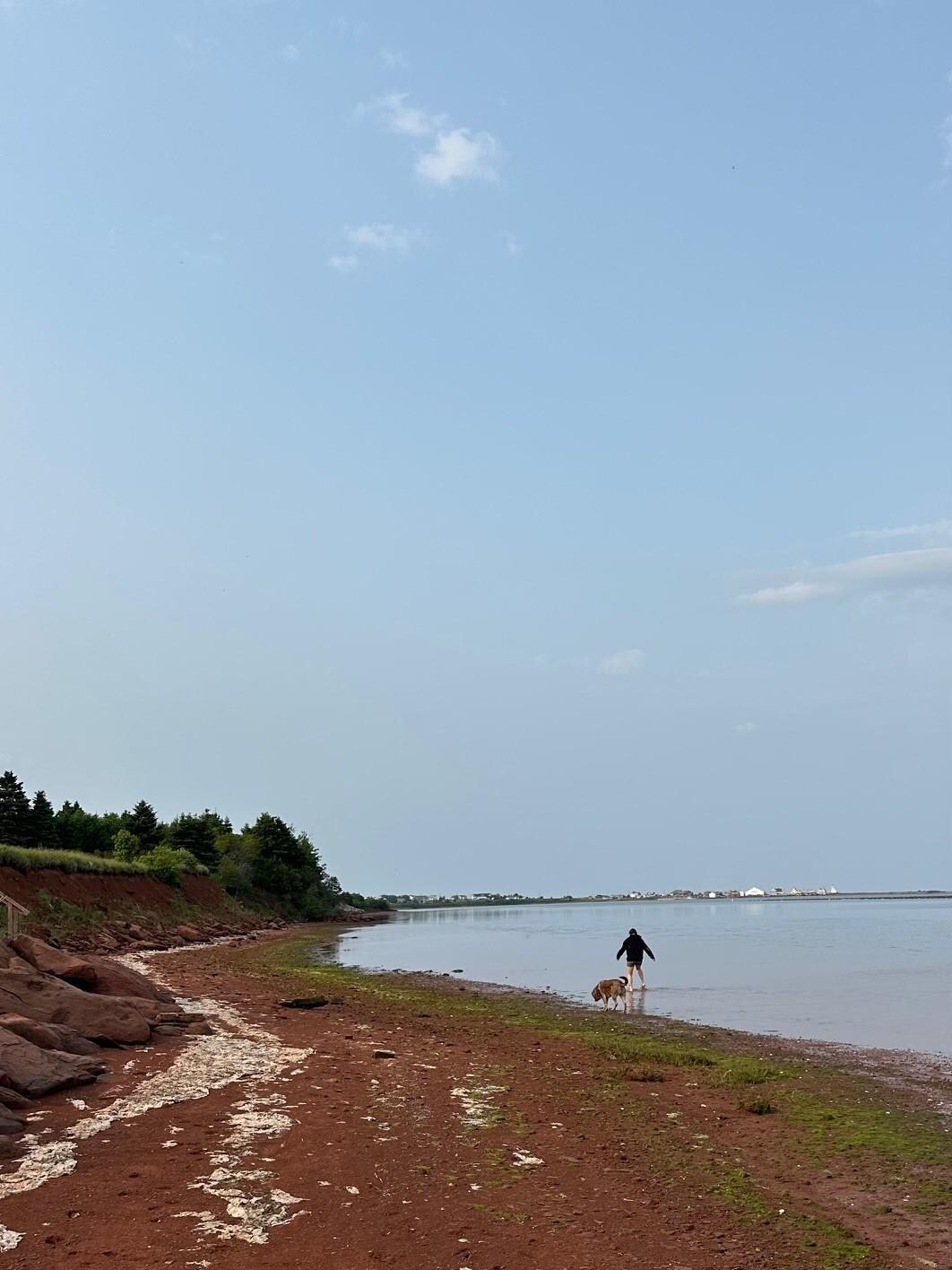 Exploring beach in front at low tide