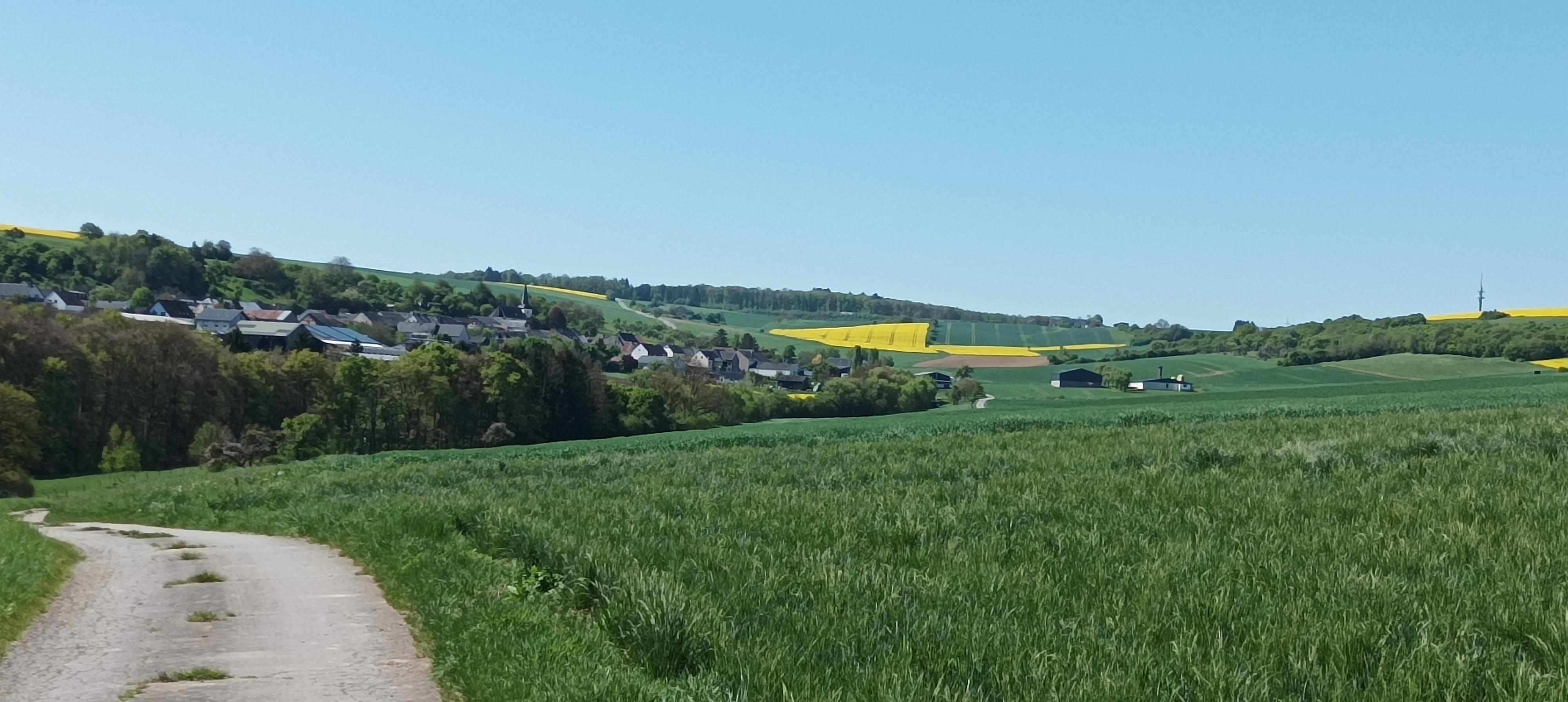 Omgeving 