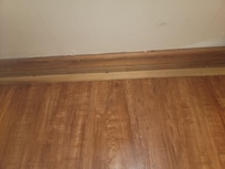 Roaches on wall between bedroom and bathroom